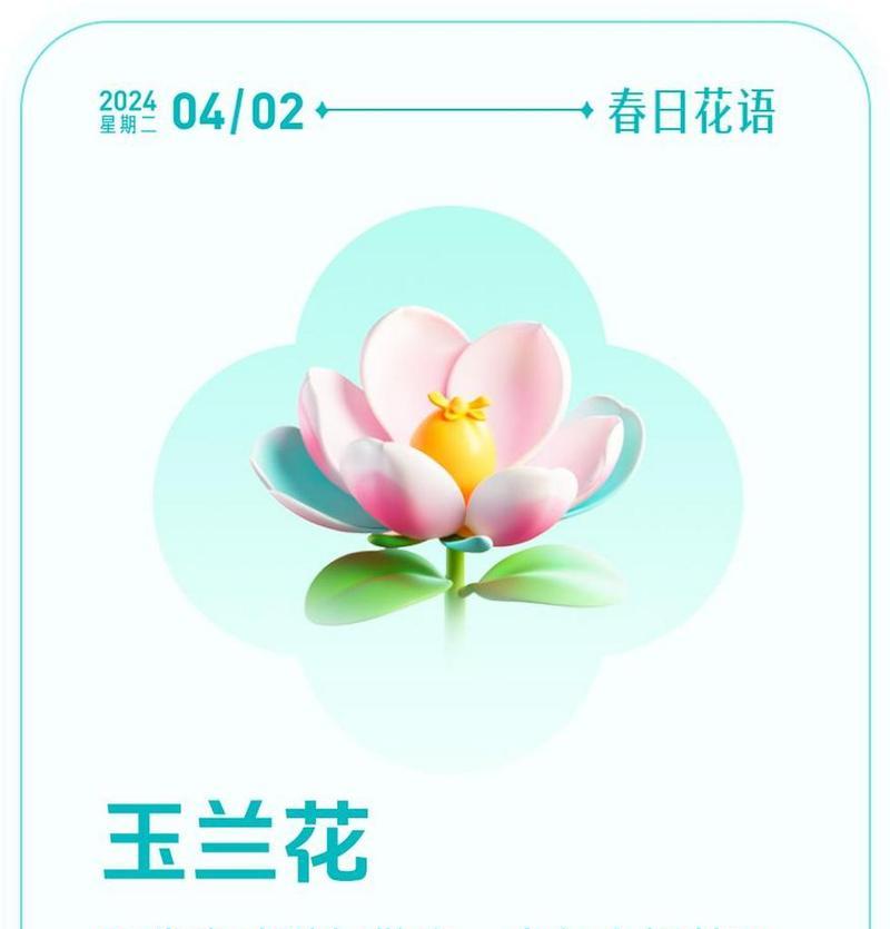 玉兰花在广告中传达什么信息？花语含义是什么？