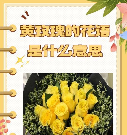 9月的花语有哪些？如何表达这个月的特殊情感？