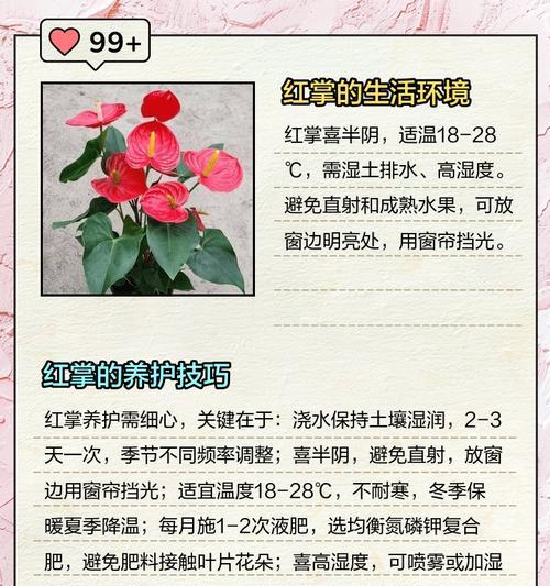 故事的花语是什么？如何通过花语讲述故事？