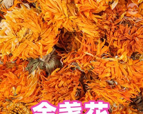 金盏花的花语寓意有何深意？