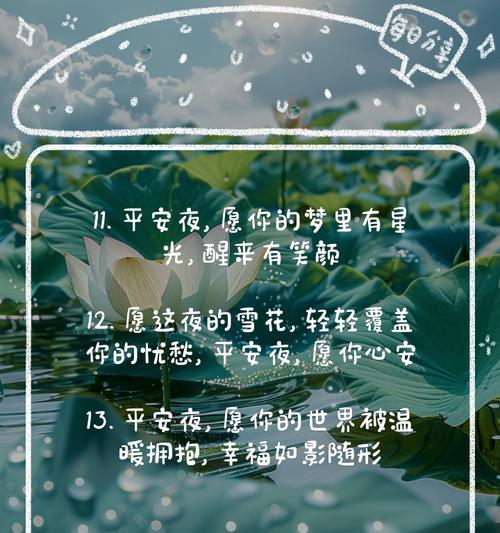 平安夜的花语有哪些？如何选择节日花卉？