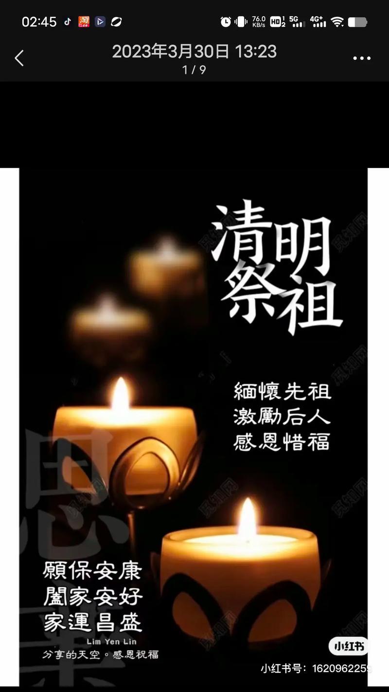 菊花祭祖时的花语是什么？菊花在祭祖中有何意义？