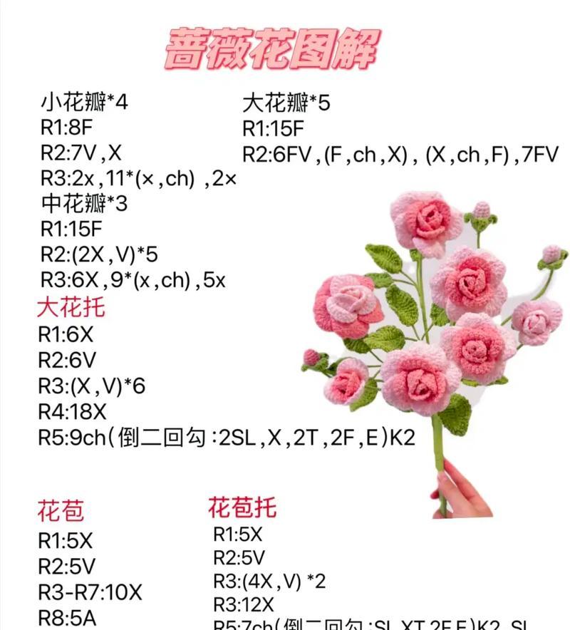 不同种类的蔷薇花花语是什么？蔷薇花种类的寓意有哪些？