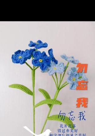 回忆的花语通常是什么？