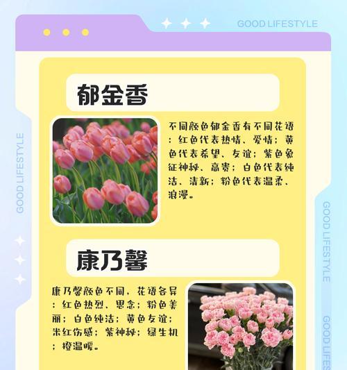 “花我爱你”这句话的花语是什么？