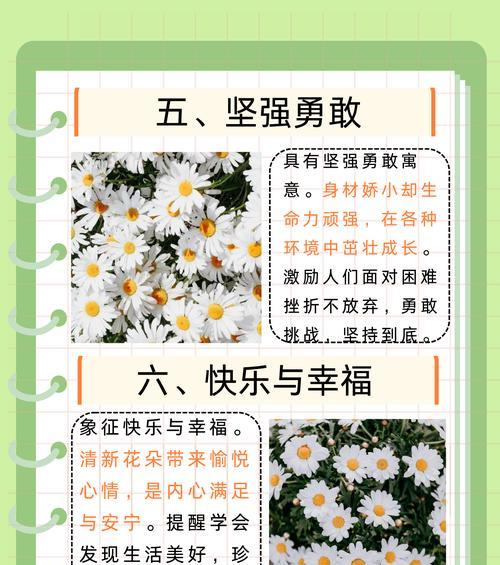 相思伴月成的花语是什么？它传达了哪种情感？