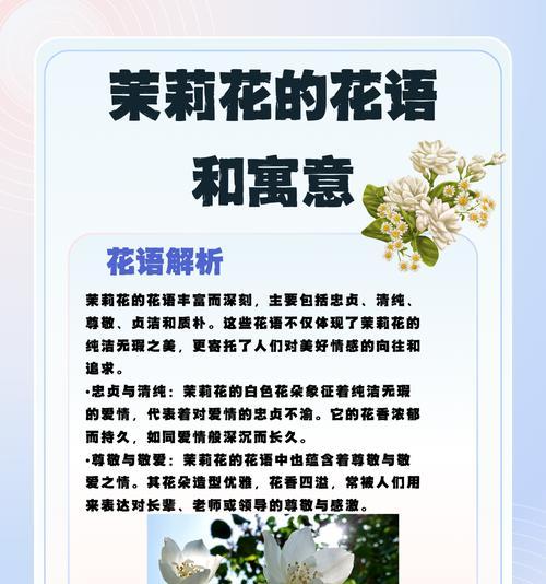 相思伴月成的花语是什么？它传达了哪种情感？
