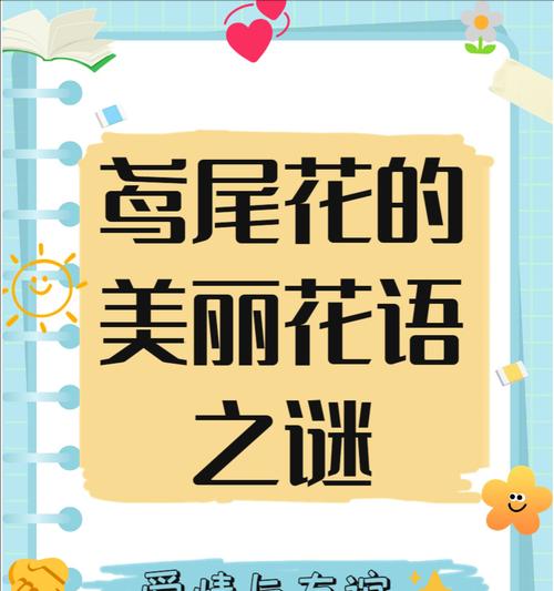 紫色安祖花的花语是什么？它有哪些寓意？
