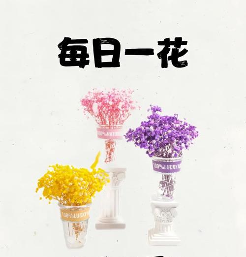 满天星的花语诗意是什么？它有哪些美丽的含义？