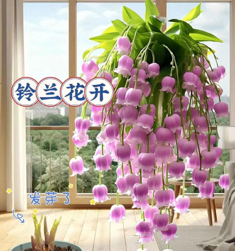 铃兰花的花语是什么？它有哪些美好的含义？