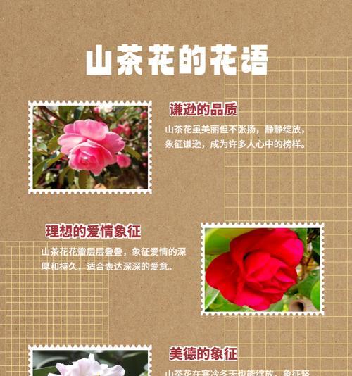 哪些花表达爱的花语？它们象征着怎样的爱情？