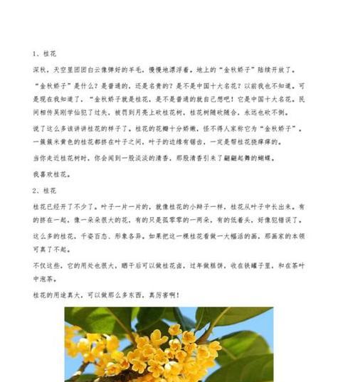 桂花的花语有哪些？桂花代表的含义是什么？