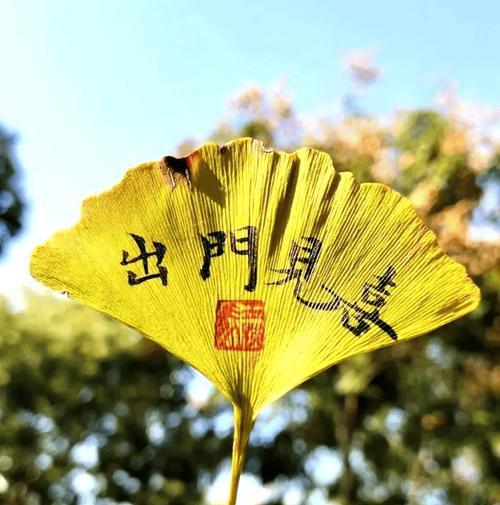 银杏叶的花语寓意是什么？银杏叶代表了什么？