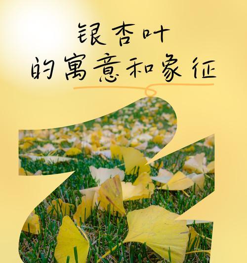 银杏叶的花语寓意是什么？银杏叶代表了什么？