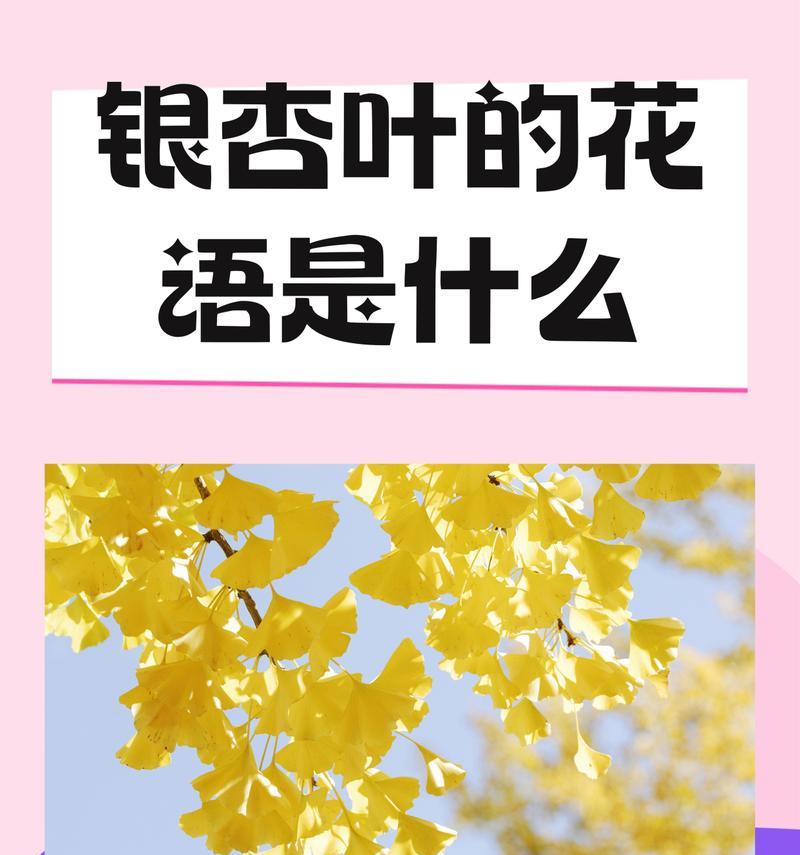 银杏叶的花语寓意是什么？银杏叶代表了什么？