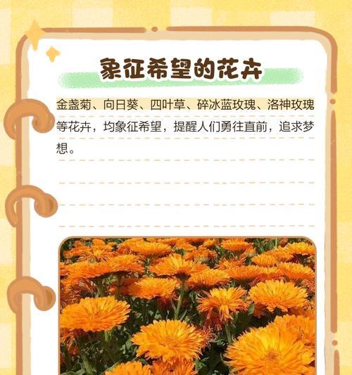 花语代表希望的草是什么？希望的草有哪些花语？