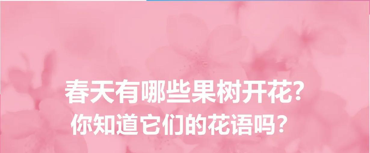 樱花花语与命运有何关联？如何解读？