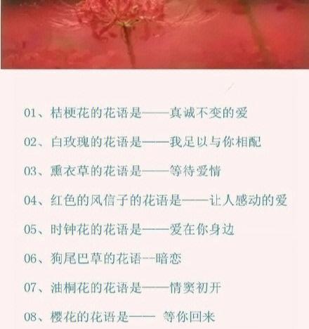 小人参榕树的养殖方法是什么？