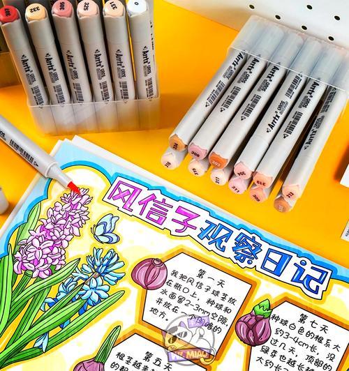 风信子培育的步骤和常见问题是什么？