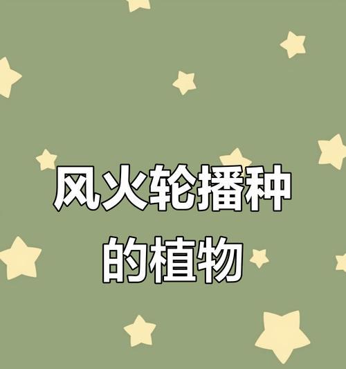 哪些花卉可以通过种子进行繁殖？