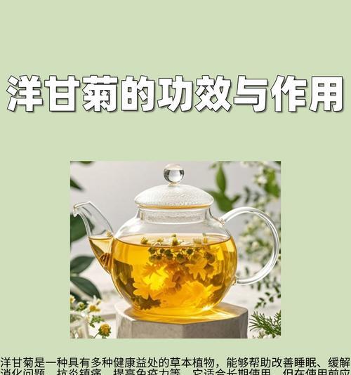 洋甘菊种子种植的步骤和技巧是什么？