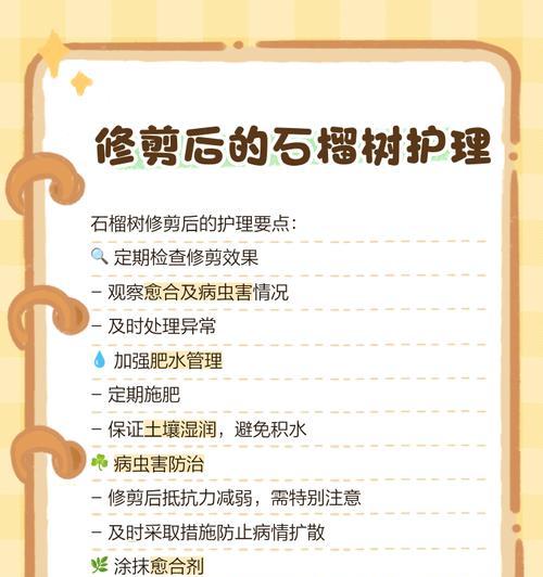 石榴苗修剪的最佳时机和方法是什么？