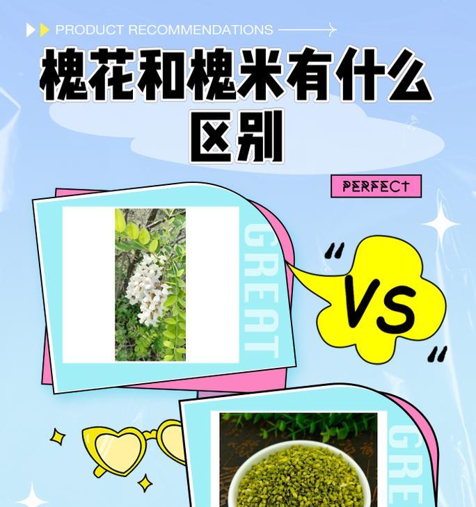 槐花有哪些种类？槐花的种植和养护方法是什么？