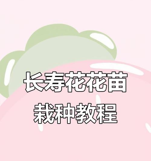 长寿花种植的正确步骤是什么？