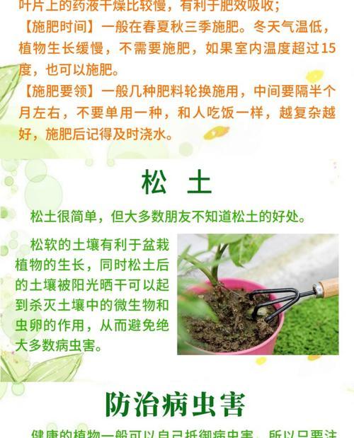 花卉徒长的原因及防治方法是什么？