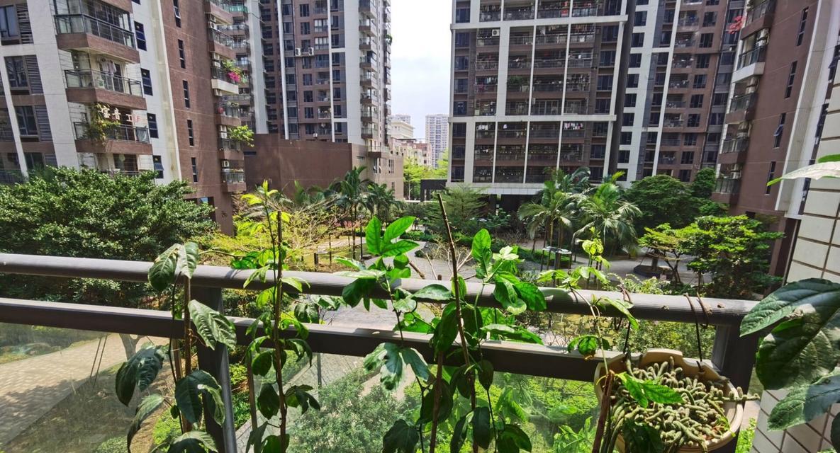 阳台种植百香果有哪些注意事项？