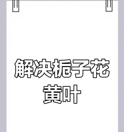 栀子花为什么黄叶？如何解决栀子花黄叶问题？