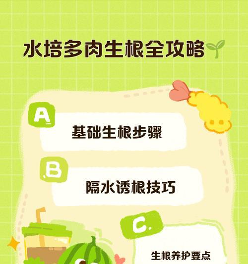 气生根的养护方法是什么？如何正确培养？