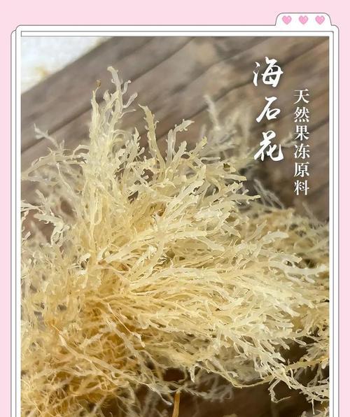 石花养殖方法是什么？如何保持石花的健康生长？