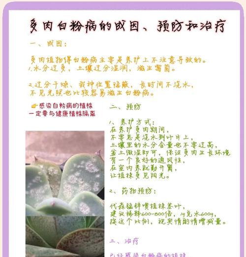 如何有效去除花上的白粉虱？