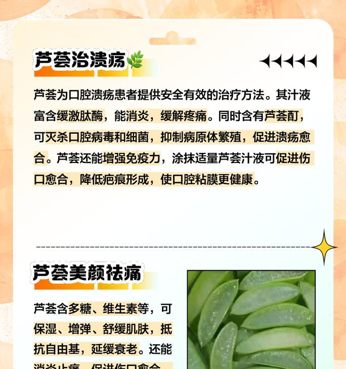 芦荟根部腐烂的处理方法是什么？如何预防再次发生？