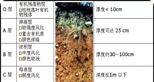 土壤发黄的原因是什么？如何改善土壤颜色？