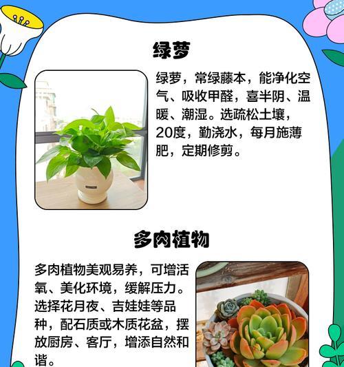 怎么养殖花才能五彩缤纷？花卉养殖的常见问题？