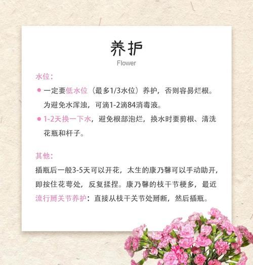 康乃馨繁殖的有效方法有哪些？如何提高繁殖成功率？