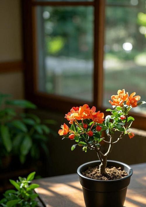 木本花的品种有哪些？木本花种植的常见问题是什么？