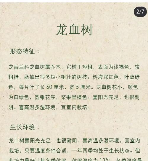 龙血树的种植技巧是什么？如何处理龙血树的常见问题？