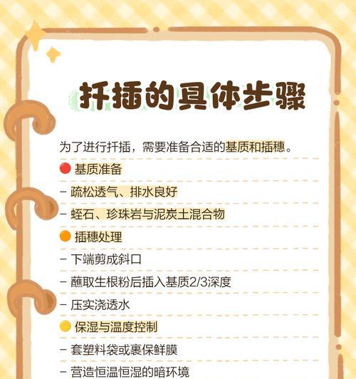 无花果扦插繁殖的步骤和技巧是什么？