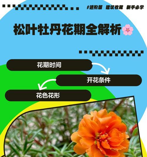 牡丹叶片修剪的最佳时间和方法是什么？