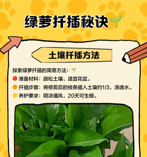 绿萝根部修剪的方法是什么？