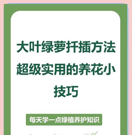 绿萝根部修剪的方法是什么？