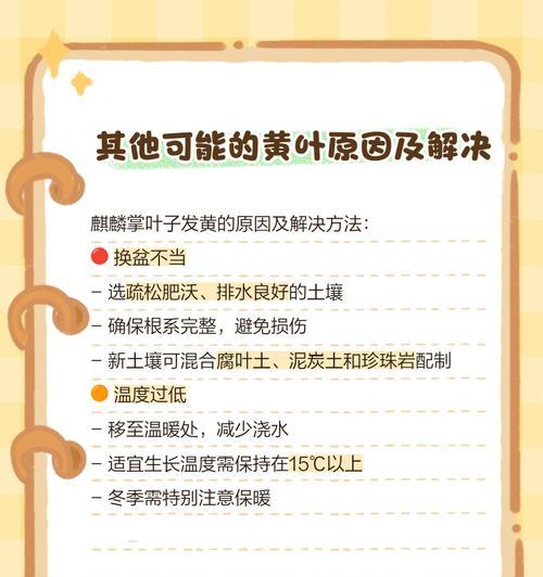 植物叶子发黄是什么原因？如何解决？