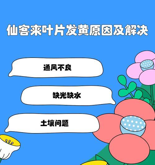 植物叶子发黄是什么原因？如何解决？