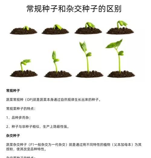 草种子种植的最佳时机和方法？