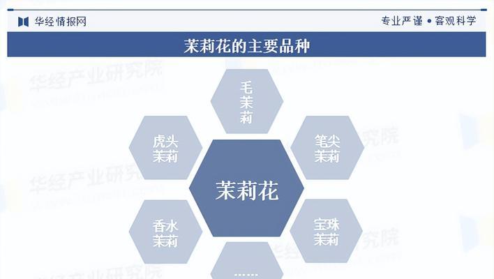 茉莉花有哪些种类？如何区分不同品种的茉莉？