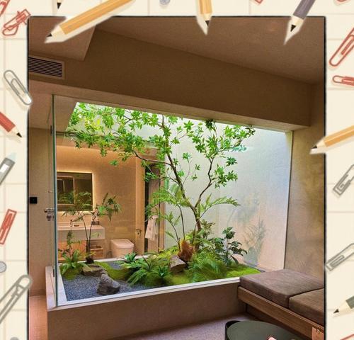 什么卉是室内装饰的最佳选择？室内花卉的种类和特点是什么？