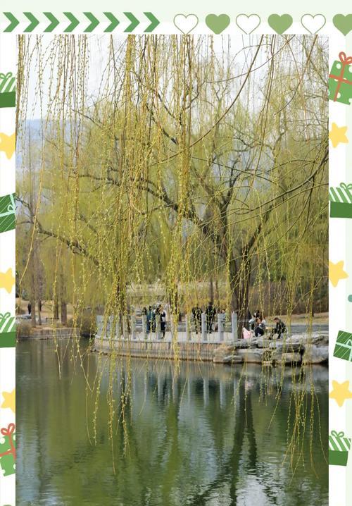 春花植物有哪些？春天赏花去哪里最合适？